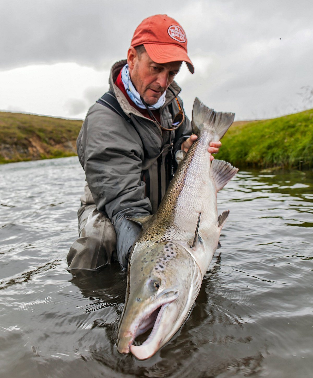 jeff currier atlantic salmon