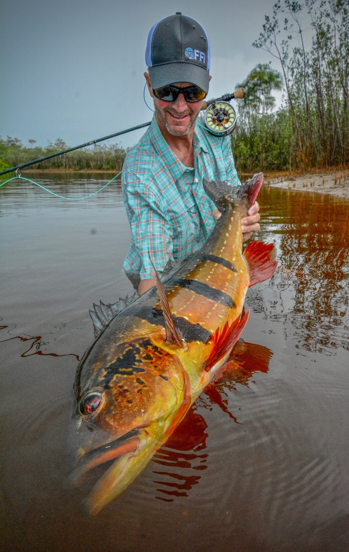 jeff currier peacock bass