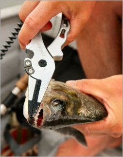 blog_March_11_2010_1[1]