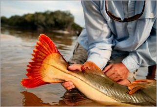 blog_March_11_2010_4[1]