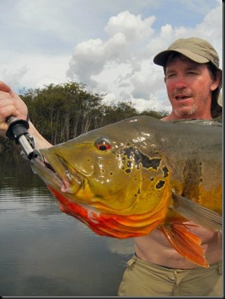 blog_March_11_2010_6[1]