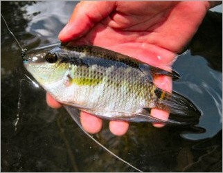 blog_march_10_2010_3[1]