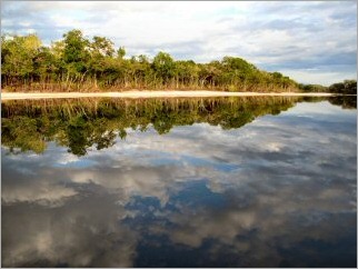 blog_march_12_2010_1[1]