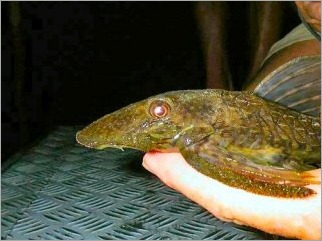 blog_march_12_2010_6[1]