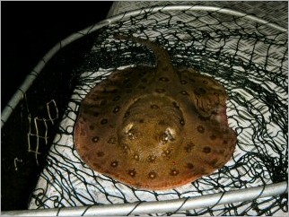 blog_march_12_2010_7[1]