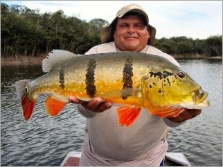 blog_march_18_2010_2[1]