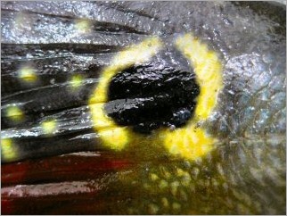 blog_march_18_2010_4[1]