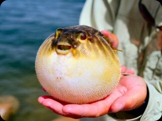 blog_april_21_2010_3[1]