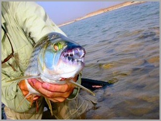 blog_april_23_2010_3[1]