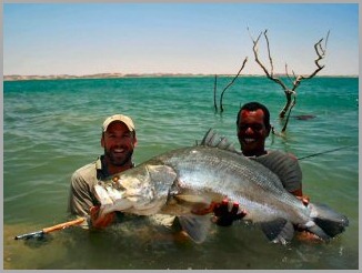 blog_april_23_2010_4[2]