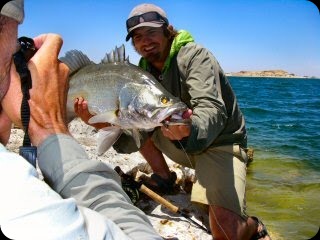 blog_april_24_2010_6[2]