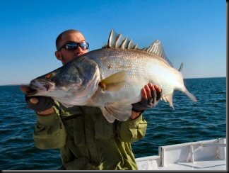 blog_april_25_2010_10[1]