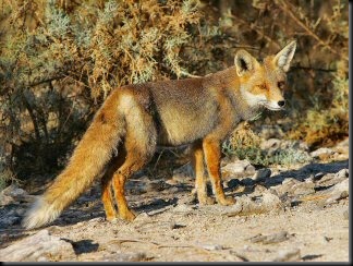 blog_april_25_2010_1[1]