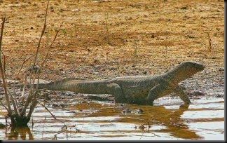 blog_april_25_2010_2[1]