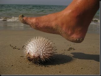 blog_may_11_2010_1[1]