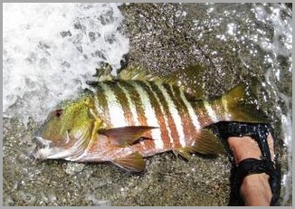 blog_may_12_2010_4[1]