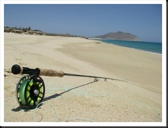 blog_may_13_2010_2[1]