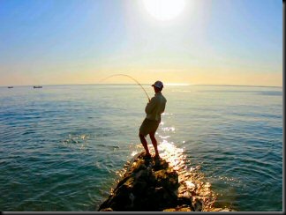 blog_may_14_2010_3[1]