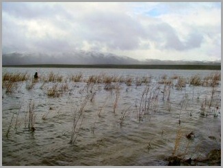 blog_may_24_2010_5[1]