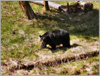 blog_may_27_2010_3[1]