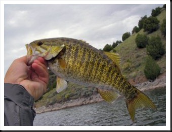 blog_June_10_2010_4[2]