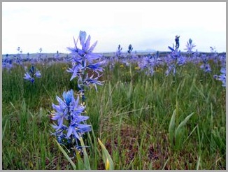 blog_June_16_2010_8[1]