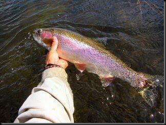 blog_June_19_2010_6[1]