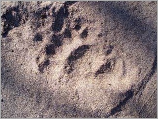 blog_June_1_2010_5[1]