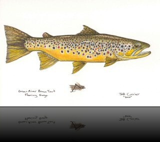 blog_June_25_2010[2]