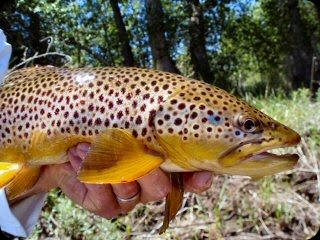 blog_June_27-28_2010_7[2]