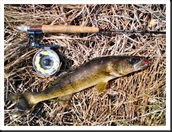 blog_June_3-5_2010_4[2]