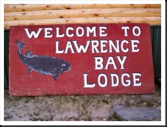 blog_June_6_2010_2[1]