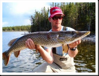 blog_June_6_2010_5[1]