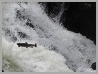 blog_July_12_2010_6[4]