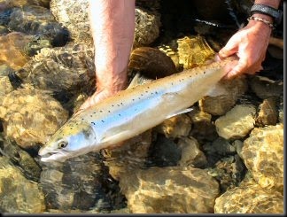 blog_July_16_2010_7[1]