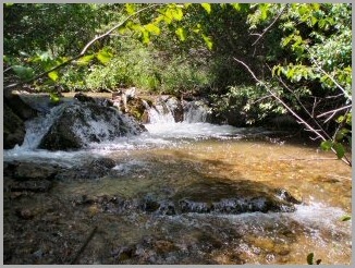 blog_July_1_2010_1[2]