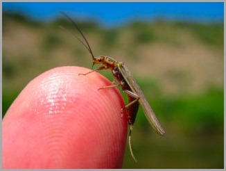 blog_July_30_2010_2[1]