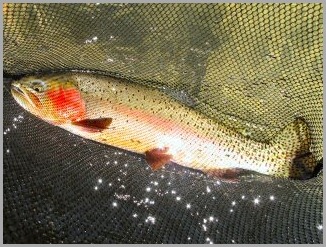 blog_July_30_2010_4[2]