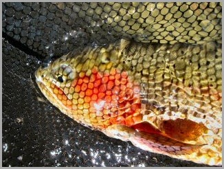 blog_July_30_2010_5[2]