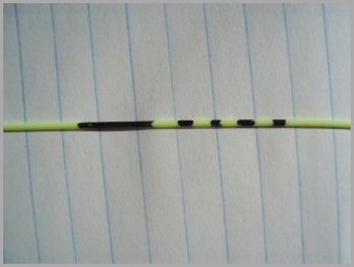 blog_July_4_2010_5[1]