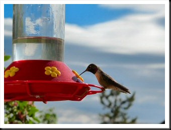 blog_July_5_2010_1[1]