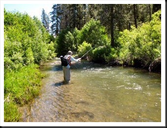 blog_July_5_2010_2[1]