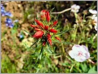 blog_July_6_2010_4[1]