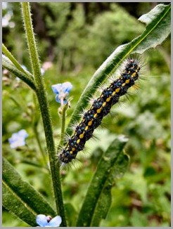 blog_July_6_2010_5[3]