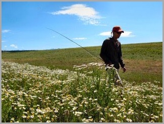 blog_Aug_10_2010_1[1]