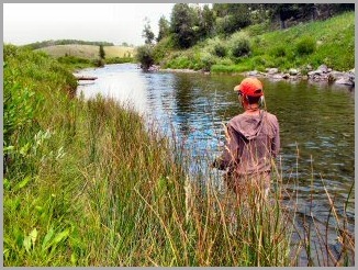 blog_Aug_10_2010_2[1]