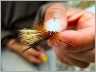 blog_Aug_10_2010_4[1]