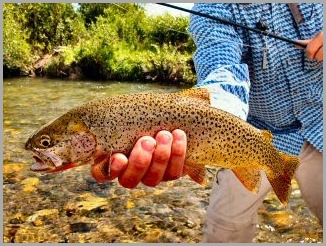 blog_Aug_10_2010_5[1]