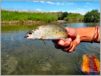 blog_Aug_11_2010_4[1]