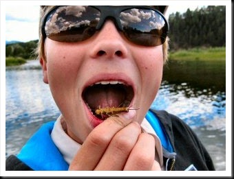 blog_Aug_13_2010_7[1]